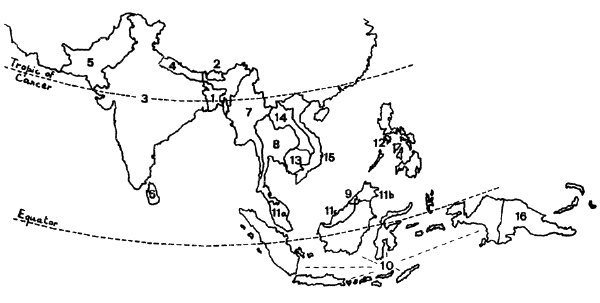 Localización a nivel mundial de la ecoregión correspondiente a Asia Tropical 